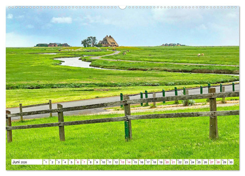 Nordfriesland - bezauberndes Reiseziel (CALVENDO Wandkalender 2026)
