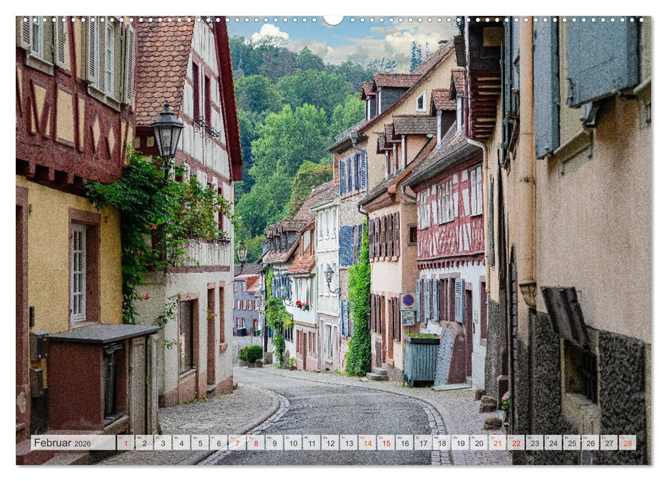 Weinheim Impressionen (CALVENDO Premium Wandkalender 2026)