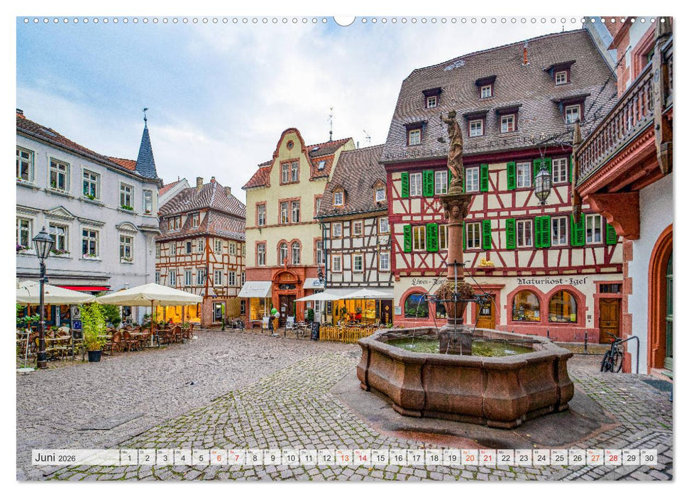 Weinheim Impressionen (CALVENDO Premium Wandkalender 2026)