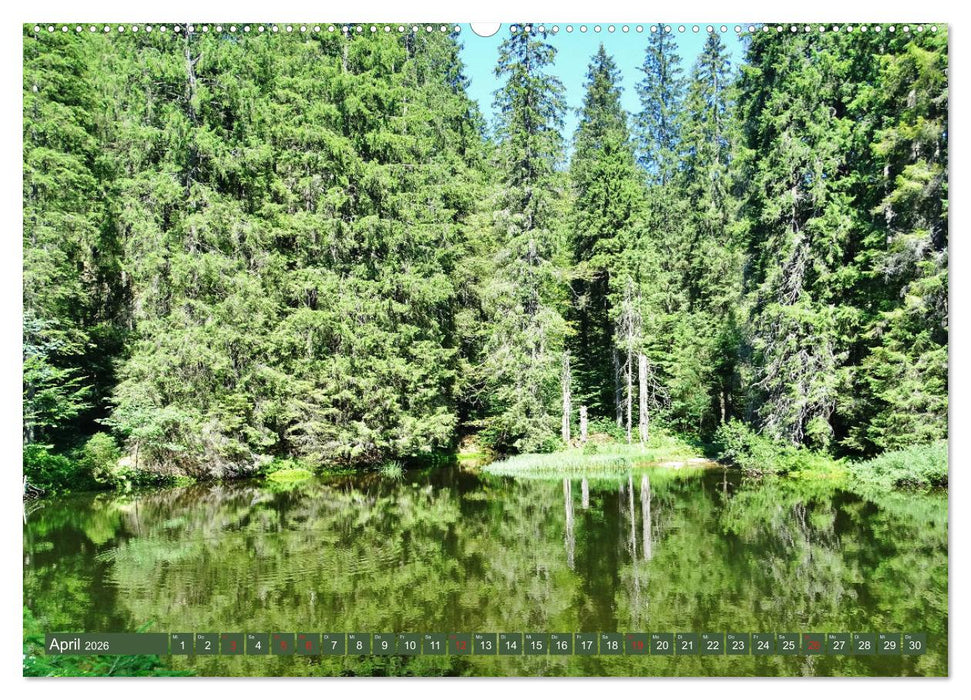 Wandererlebnisse im Bayrischen Wald (CALVENDO Premium Wandkalender 2026)