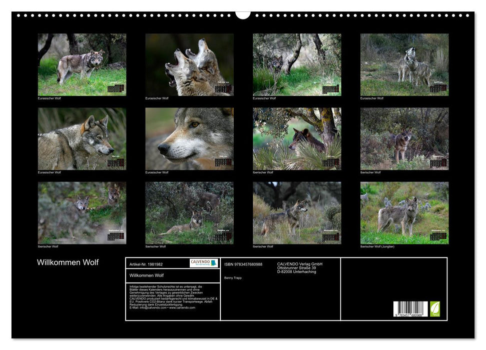 Willkommen Wolf (CALVENDO Wandkalender 2026)