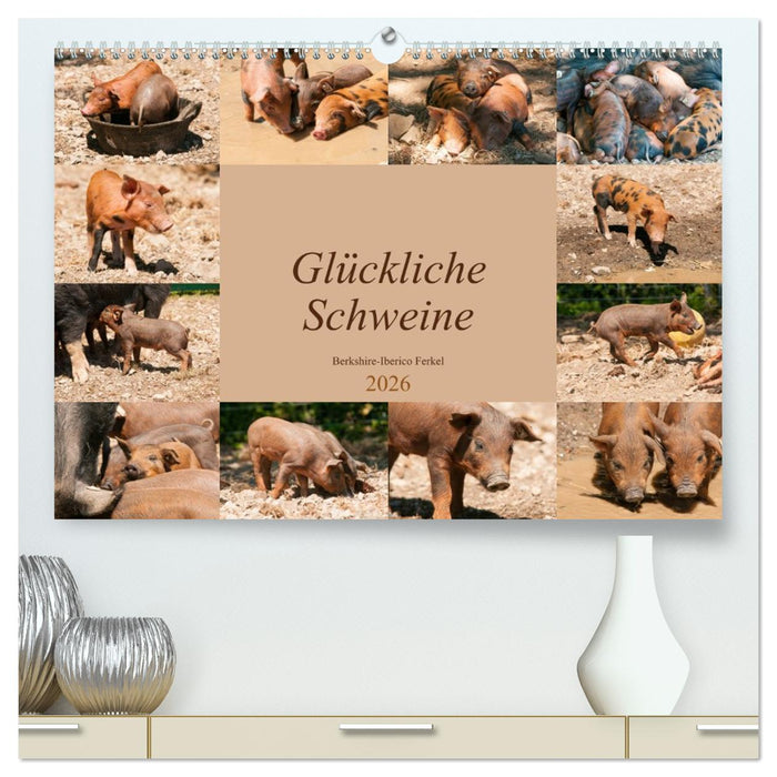 Glückliche Schweine Berkshire-Iberico Ferkel (CALVENDO Premium Wandkalender 2026)