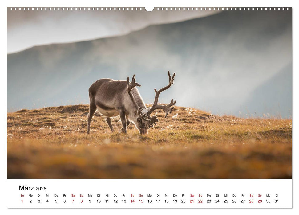Spitzbergenkalender (CALVENDO Premium Wandkalender 2026)