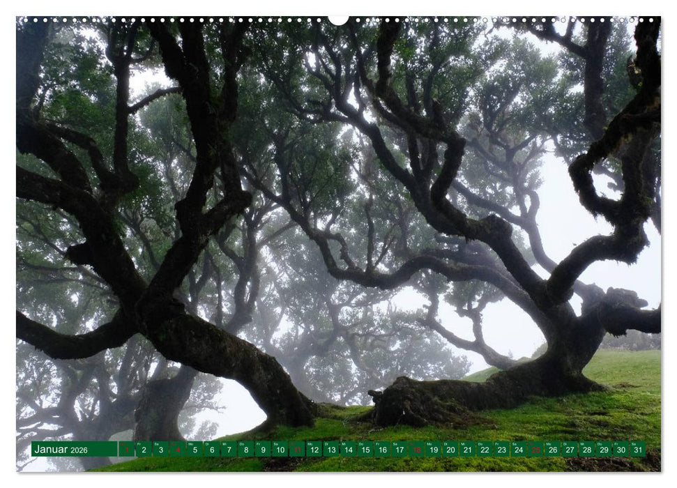 Madeira Blumeninsel im Atlantik (CALVENDO Premium Wandkalender 2026)