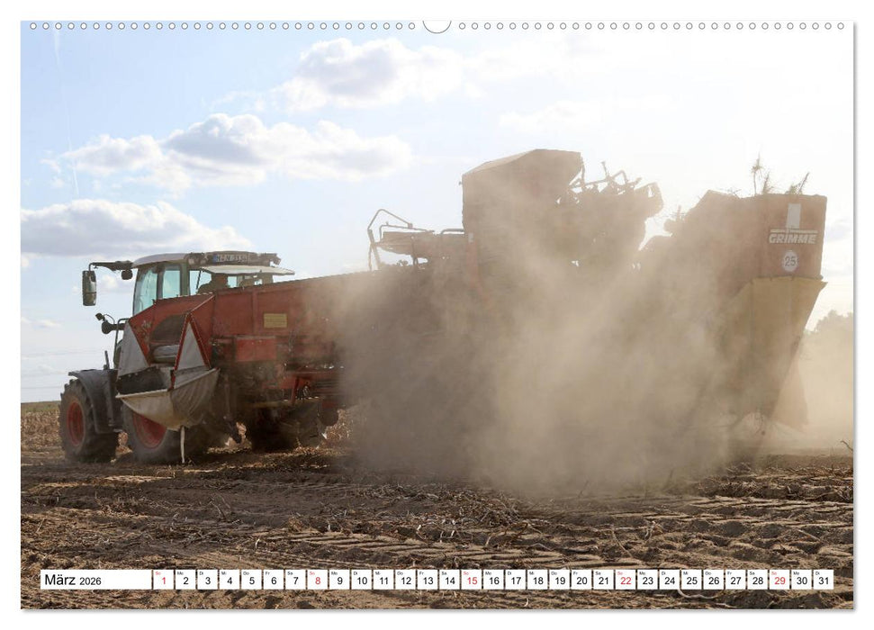 Kartoffel-Ernte - hautnah erleben (CALVENDO Premium Wandkalender 2026)