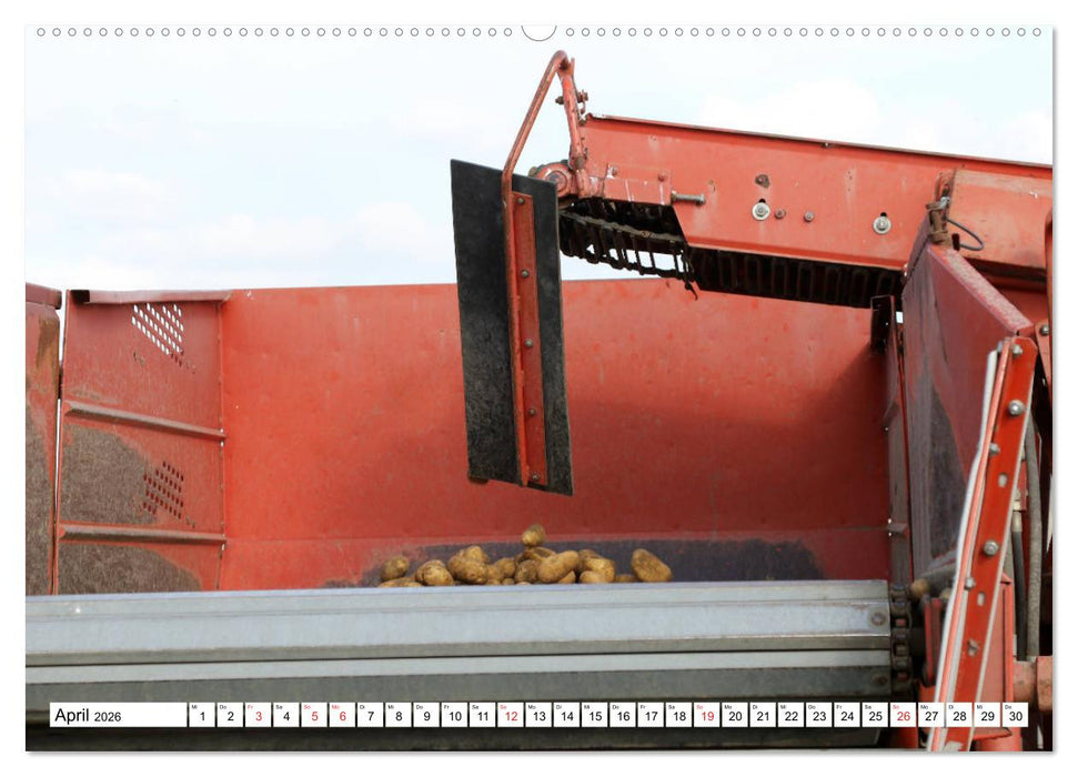 Kartoffel-Ernte - hautnah erleben (CALVENDO Premium Wandkalender 2026)