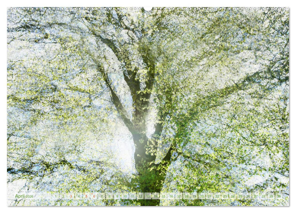 Vielfalt der Bäume - variety of trees (CALVENDO Premium Wandkalender 2026)
