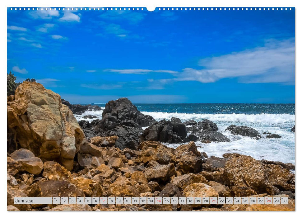 Blickpunkte Neuseeland (CALVENDO Premium Wandkalender 2026)