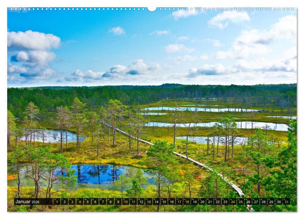 Bezauberndes Estland (CALVENDO Premium Wandkalender 2026)