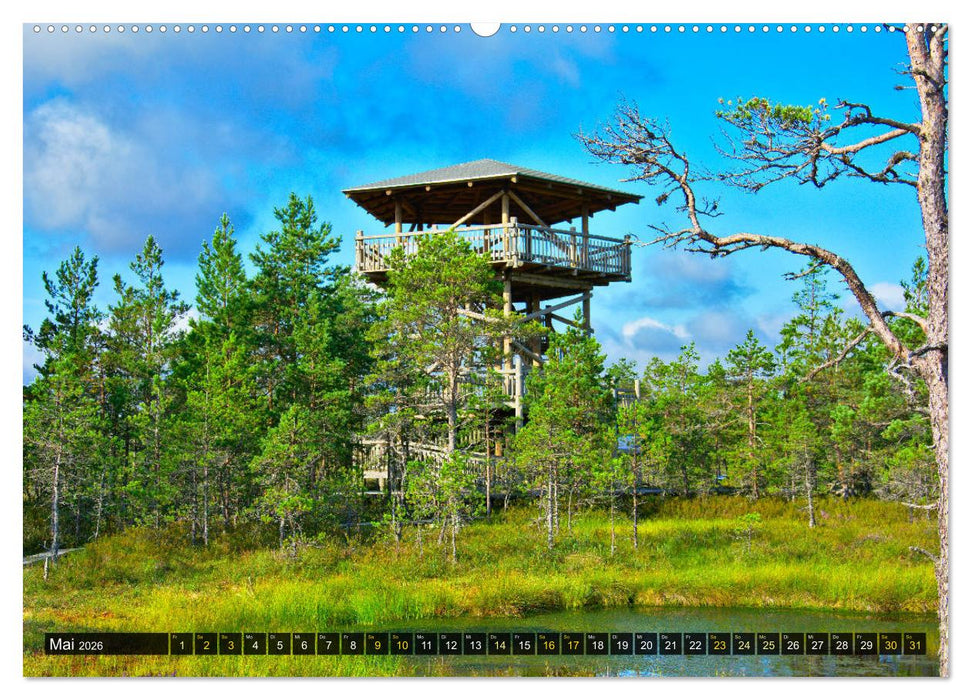 Bezauberndes Estland (CALVENDO Premium Wandkalender 2026)