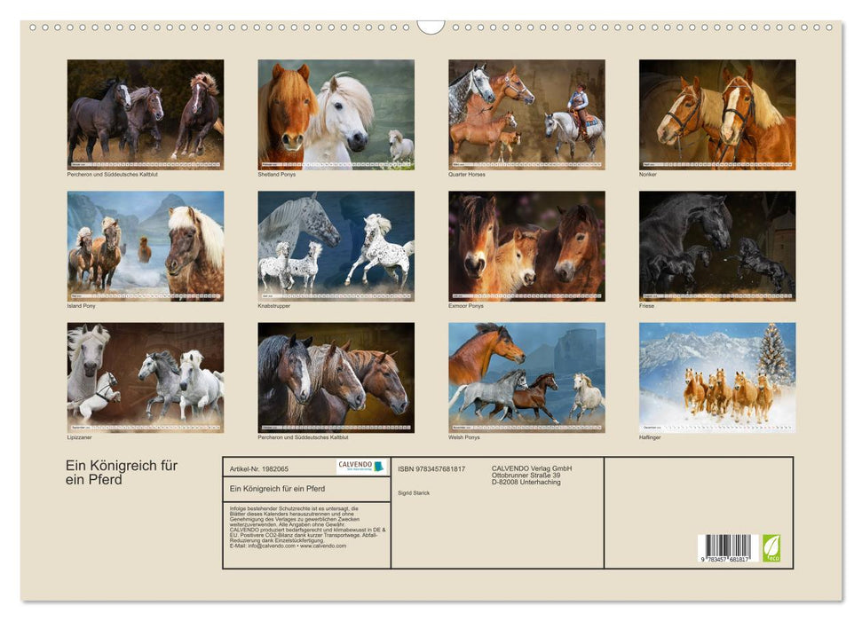 Ein Königreich für ein Pferd (CALVENDO Wandkalender 2026)