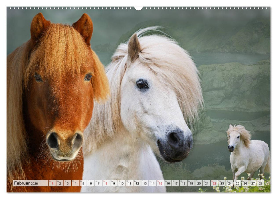 Ein Königreich für ein Pferd (CALVENDO Wandkalender 2026)