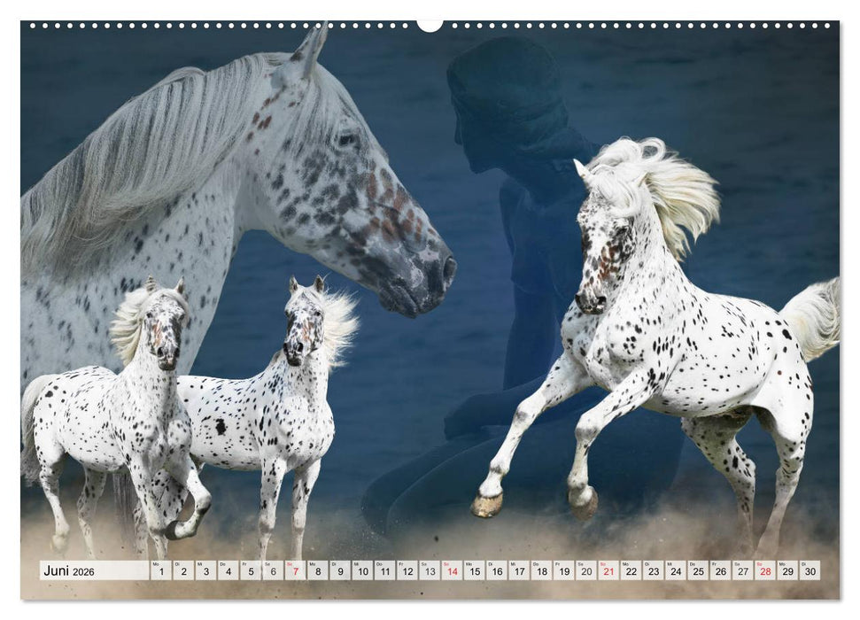 Ein Königreich für ein Pferd (CALVENDO Wandkalender 2026)