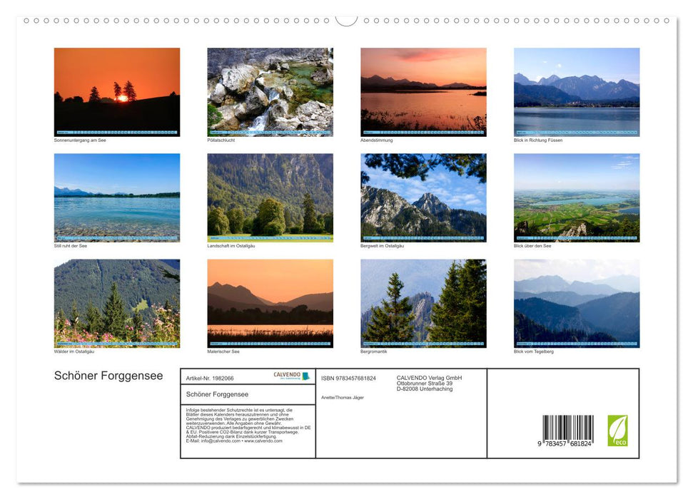 Schöner Forggensee (CALVENDO Premium Wandkalender 2026)