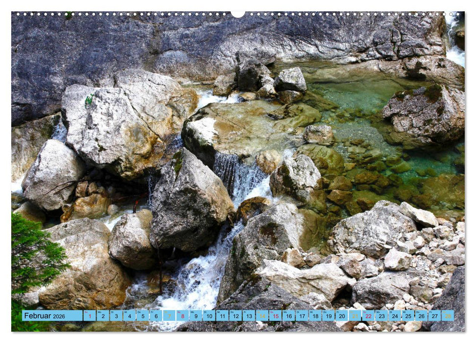 Schöner Forggensee (CALVENDO Premium Wandkalender 2026)