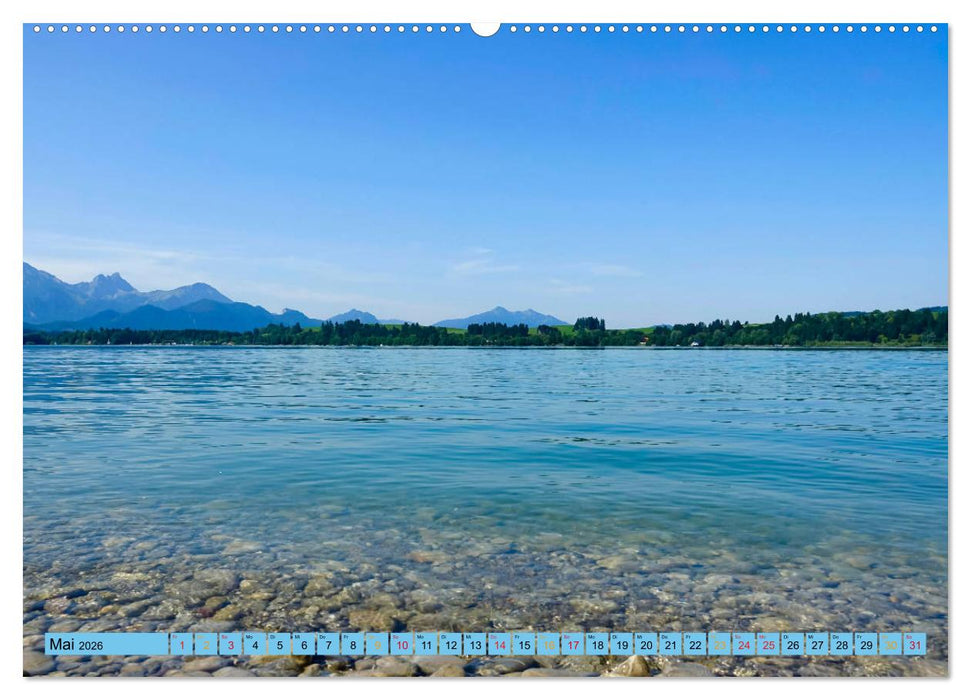 Schöner Forggensee (CALVENDO Premium Wandkalender 2026)