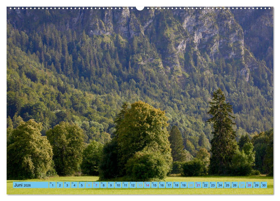 Schöner Forggensee (CALVENDO Premium Wandkalender 2026)