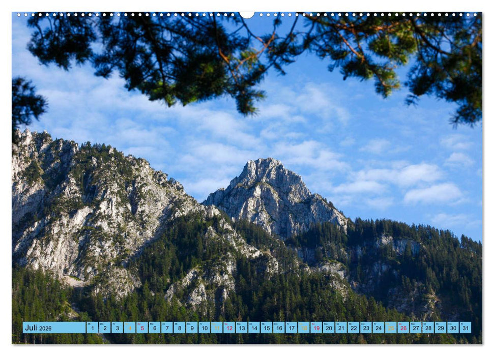 Schöner Forggensee (CALVENDO Premium Wandkalender 2026)