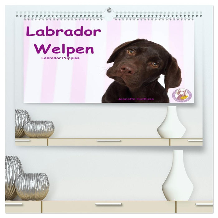 Labrador Welpen - Labrador Puppies (CALVENDO Premium Wandkalender 2026)