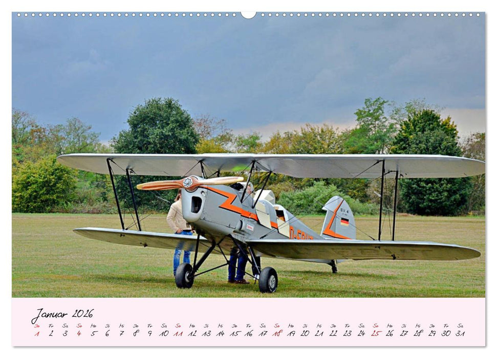 Schätzchen der Lüfte (CALVENDO Premium Wandkalender 2026)