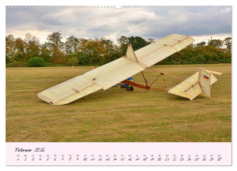 Schätzchen der Lüfte (CALVENDO Premium Wandkalender 2026)