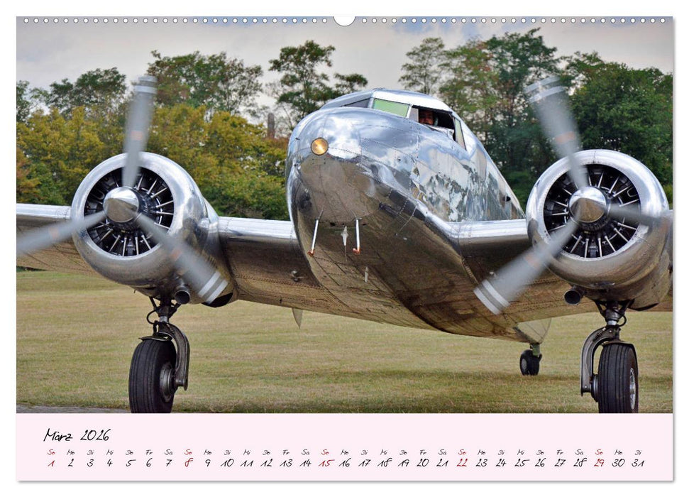 Schätzchen der Lüfte (CALVENDO Premium Wandkalender 2026)