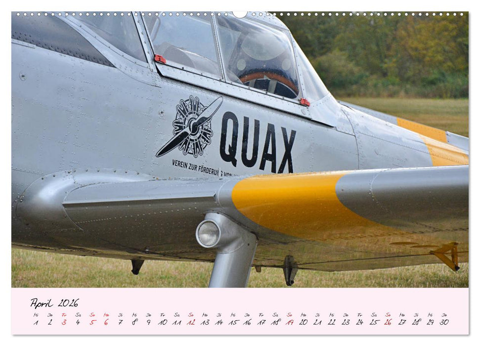 Schätzchen der Lüfte (CALVENDO Premium Wandkalender 2026)