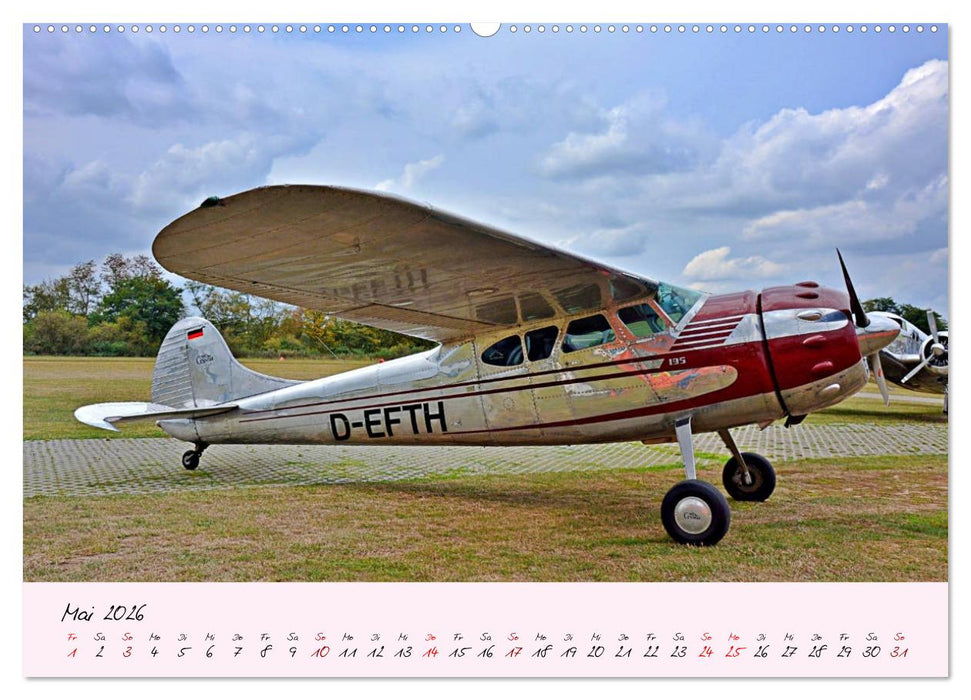 Schätzchen der Lüfte (CALVENDO Premium Wandkalender 2026)