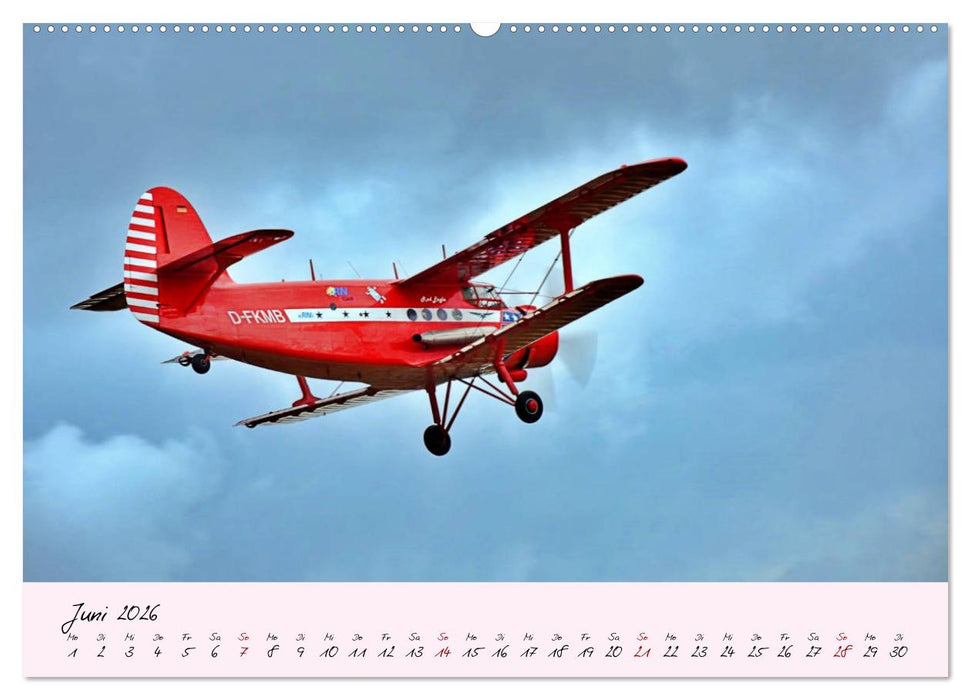 Schätzchen der Lüfte (CALVENDO Premium Wandkalender 2026)