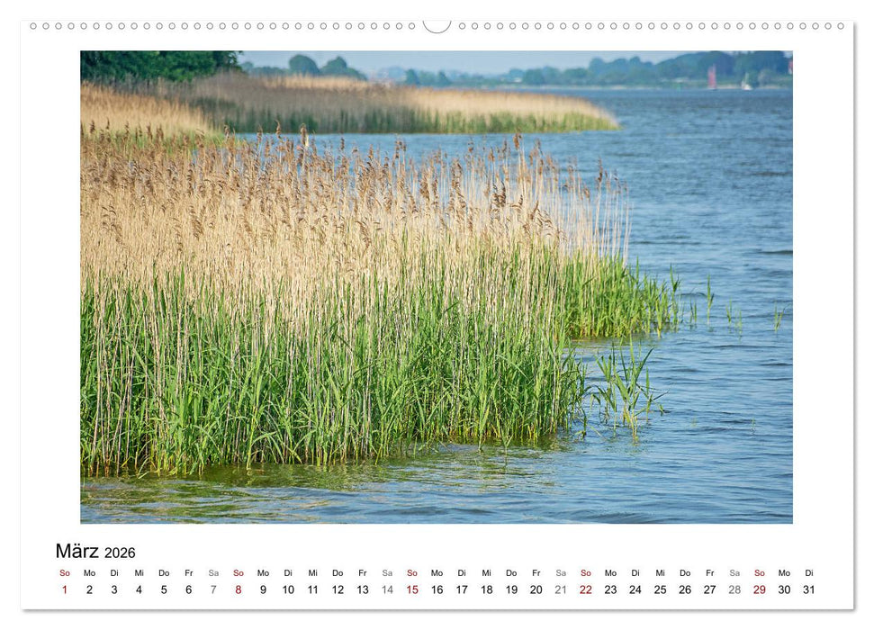 Schleswig und die Schlei - von Schloss Gottorf bis Schleimünde (CALVENDO Premium Wandkalender 2026)