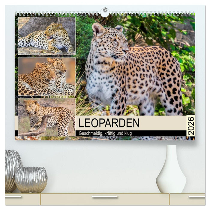 Leoparden. Geschmeidig, kräftig und klug (CALVENDO Premium Wandkalender 2026)