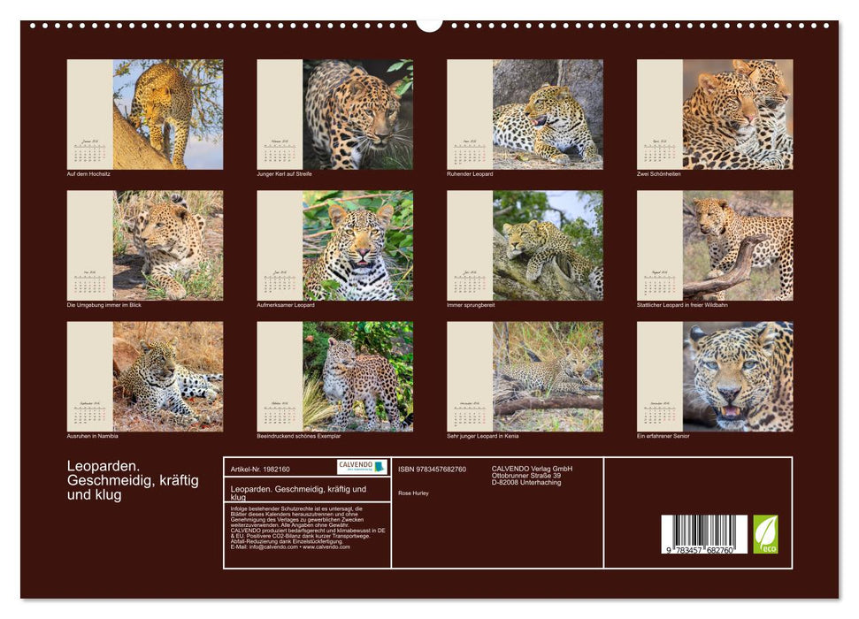 Leoparden. Geschmeidig, kräftig und klug (CALVENDO Premium Wandkalender 2026)