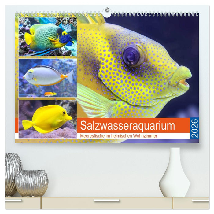 Salzwasseraquarium. Meeresfische im heimischen Wohnzimmer (CALVENDO Premium Wandkalender 2026)