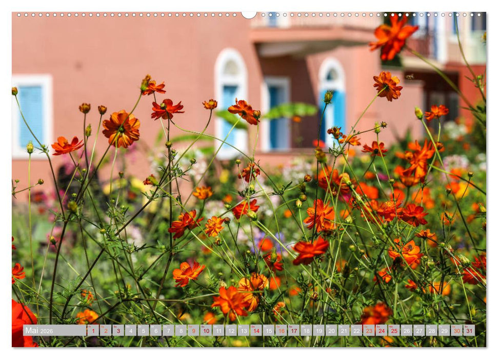 Erholung auf Korfu im St. Georg's Bay Country Club (CALVENDO Premium Wandkalender 2026)