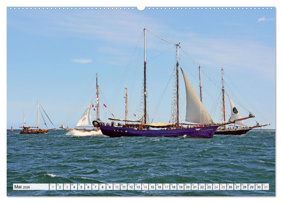 Die HANSE SAIL Das große Seglertreffen in Rostock (CALVENDO Premium Wandkalender 2026)