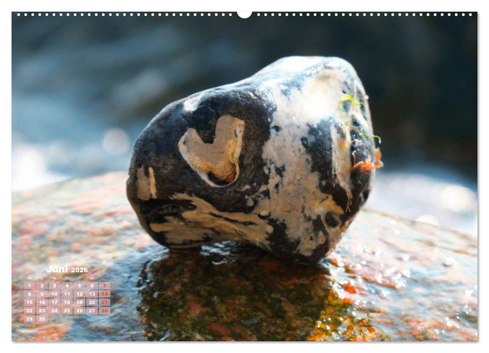 Für Dich! - Eine Liebeserklärung auf steinisch (CALVENDO Premium Wandkalender 2026)