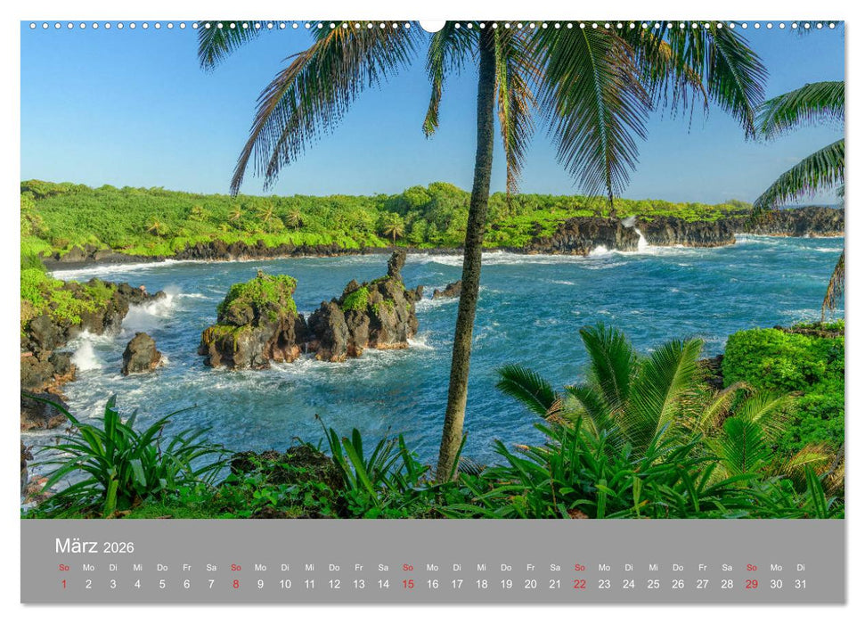 SPIRIT OF HAWAII (CALVENDO Premium Wandkalender 2026)