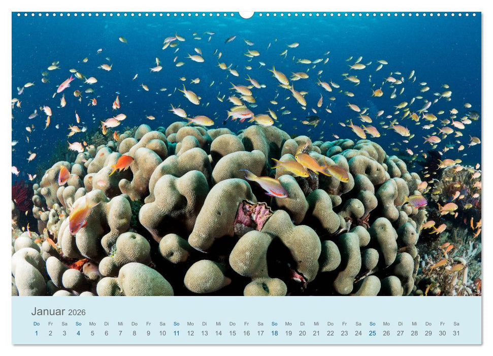 Abenteuer Unterwasser (CALVENDO Premium Wandkalender 2026)