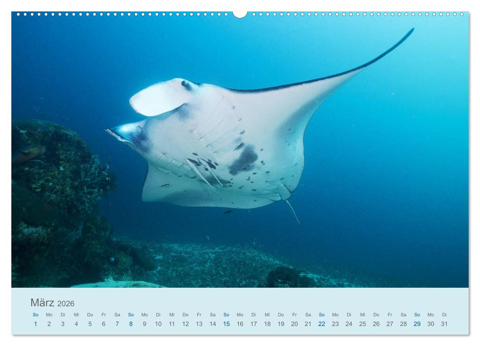 Abenteuer Unterwasser (CALVENDO Premium Wandkalender 2026)