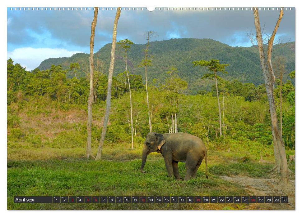 Thailand Journey (CALVENDO Premium Wandkalender 2026)