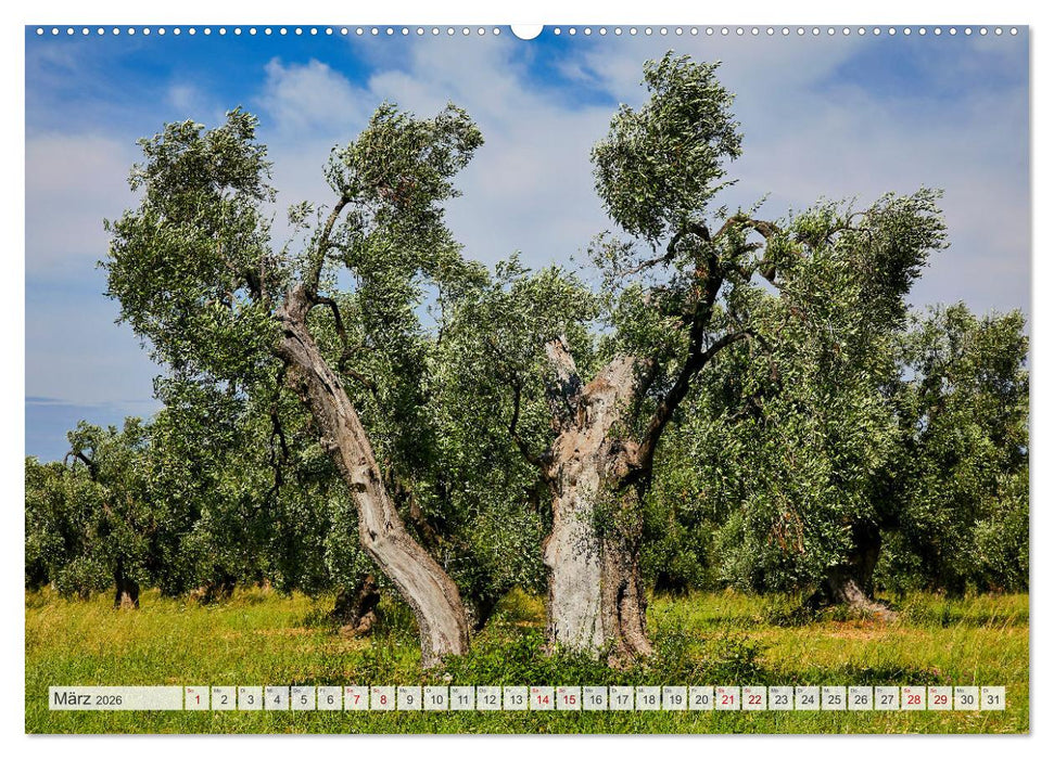 Apulien (CALVENDO Premium Wandkalender 2026)