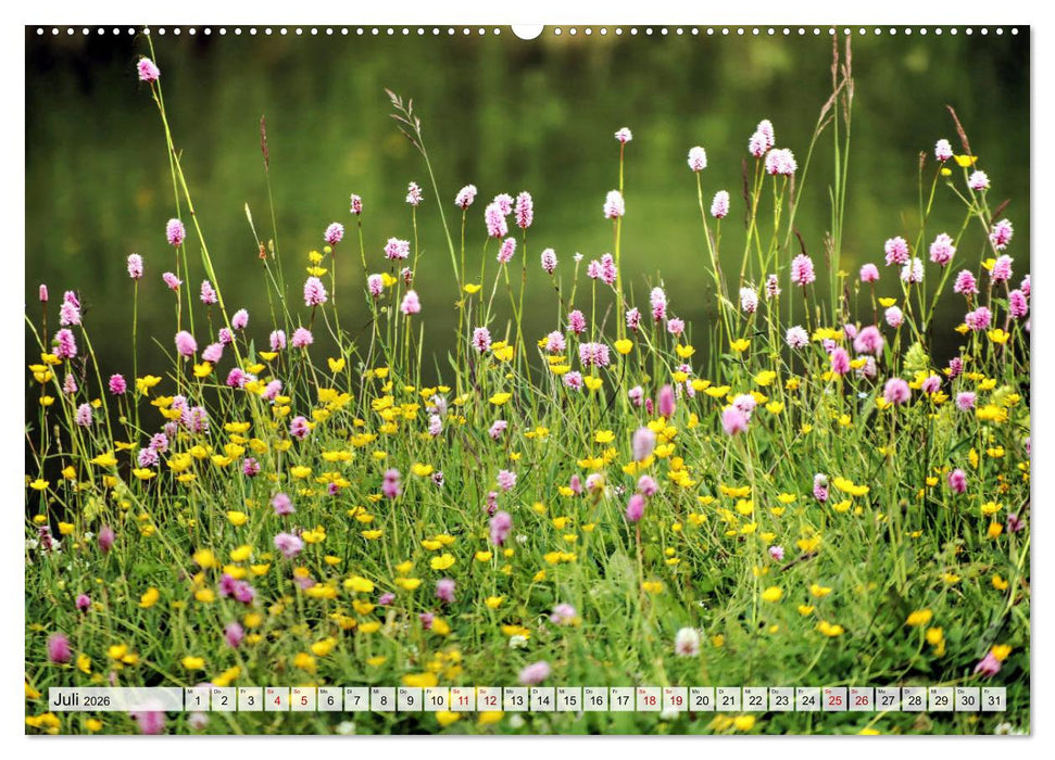 Georgien - Kirchen Klöster Kaukasus (CALVENDO Premium Wandkalender 2026)