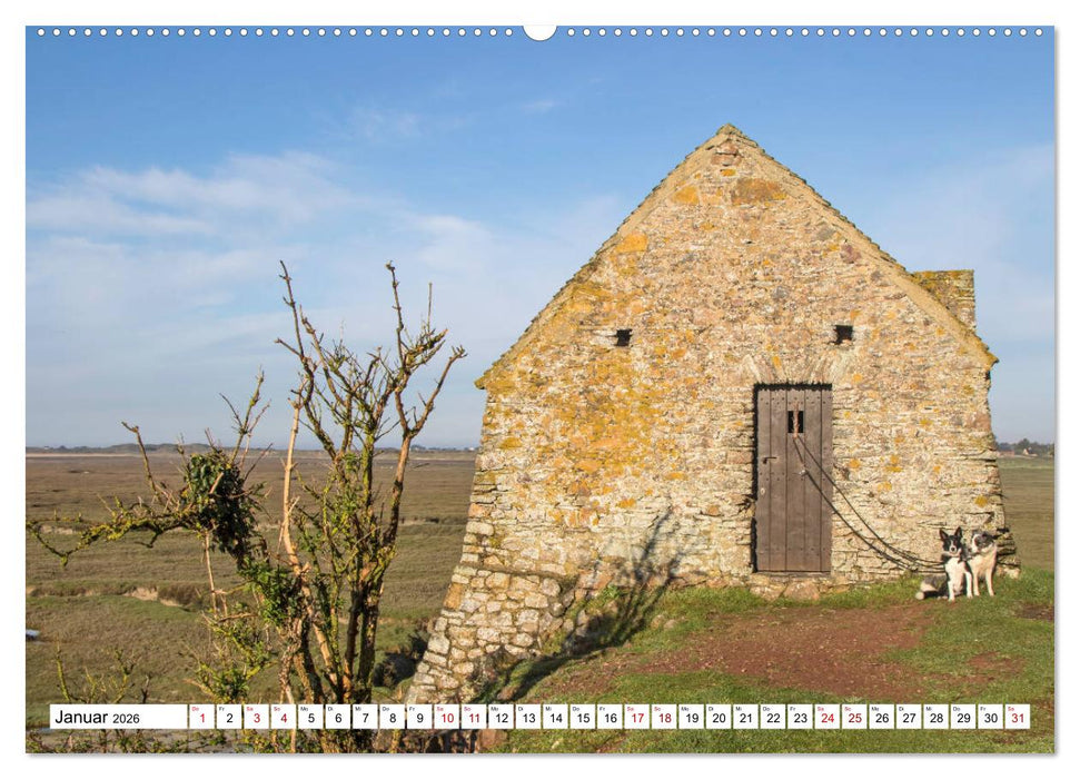 Cotentin – unser Stück vom Paradies (CALVENDO Premium Wandkalender 2026)