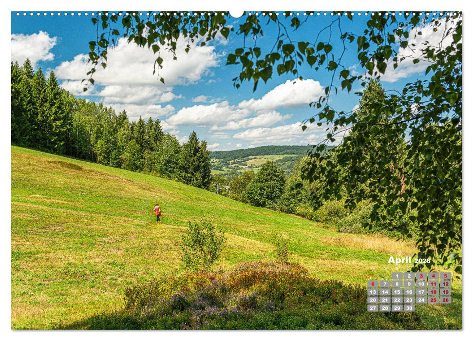Markneukirchen - Musik & Landschaft einer Region (CALVENDO Premium Wandkalender 2026)