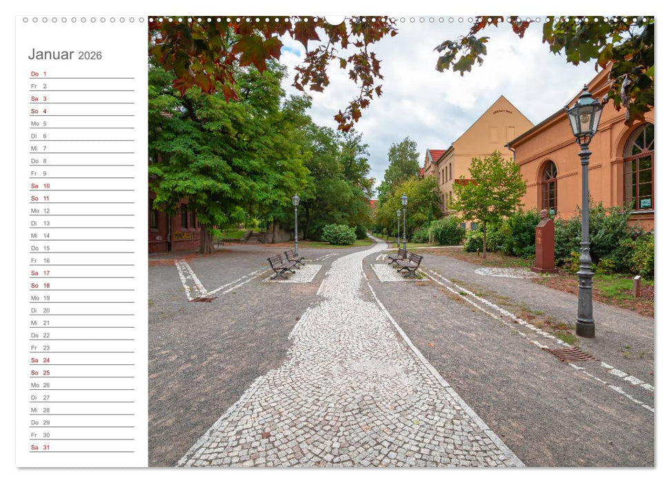 Stadtansichten Aschersleben (CALVENDO Premium Wandkalender 2026)