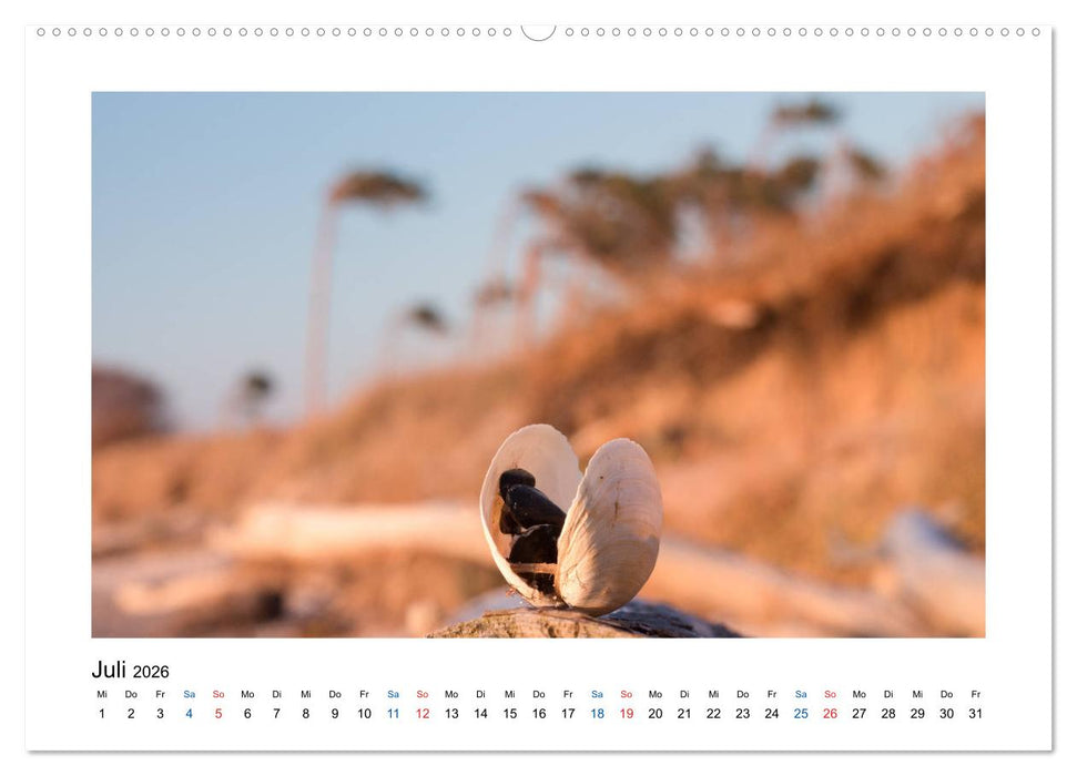 Mehr vom Meer: Sehnsuchtskalender für Ostseeliebhaber (CALVENDO Premium Wandkalender 2026)