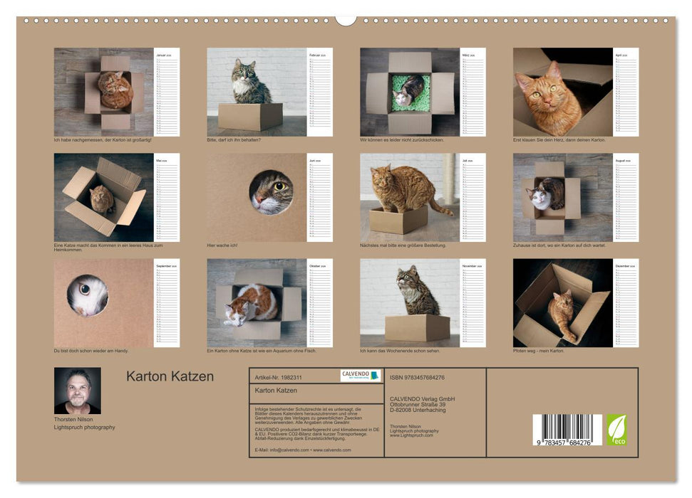 Karton Katzen (CALVENDO Premium Wandkalender 2026)