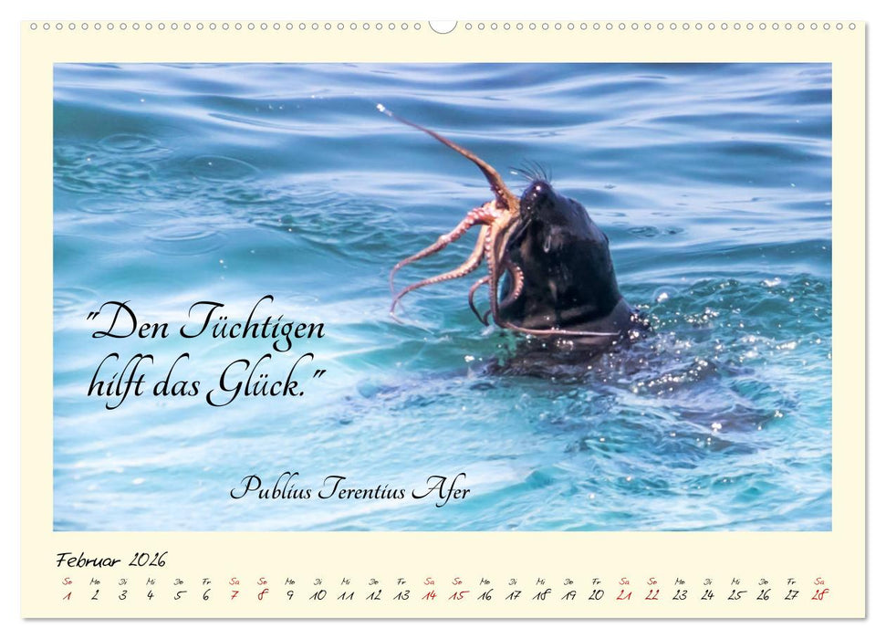 Glücksmomente Glücks-Zitate zu Fotos der großartigen südafrikanischen Tierwelt (CALVENDO Premium Wandkalender 2026)