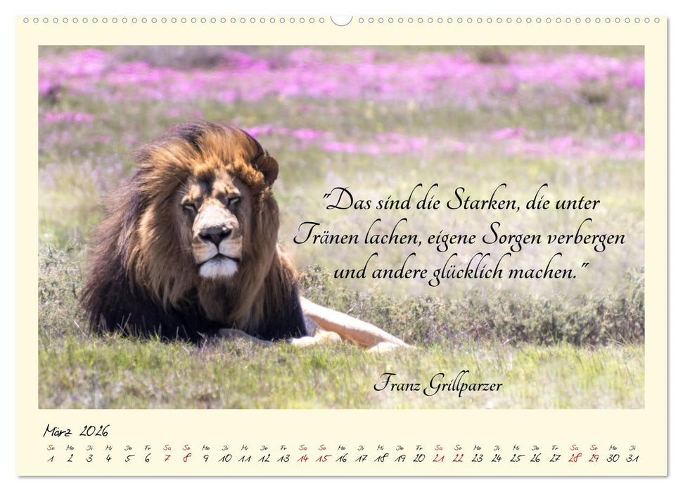 Glücksmomente Glücks-Zitate zu Fotos der großartigen südafrikanischen Tierwelt (CALVENDO Premium Wandkalender 2026)