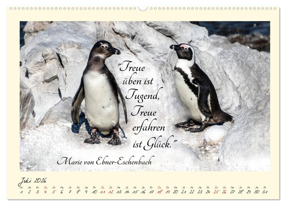 Glücksmomente Glücks-Zitate zu Fotos der großartigen südafrikanischen Tierwelt (CALVENDO Premium Wandkalender 2026)